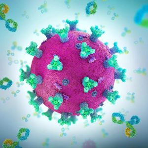 Antibody-Virus Recognition System Revealed