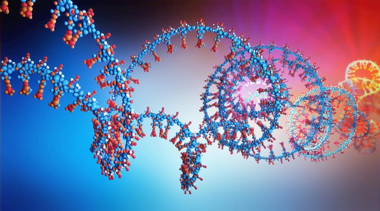 Research Brings Programmable RNA Therapies Closer to Clinic
