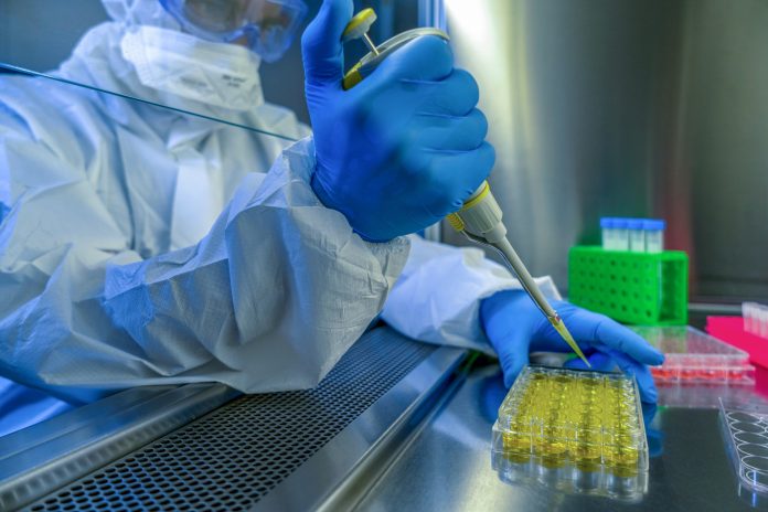Researching vaccine to novel coronavirus 2019-nCoV. Close-up shot of a scientist preparing glass slide.