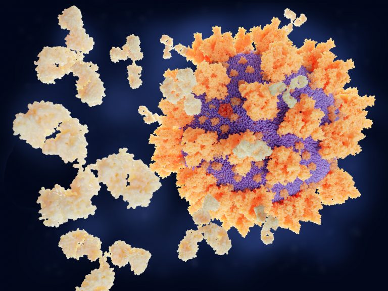 Antibodies responding to coronavirus particle, illustration