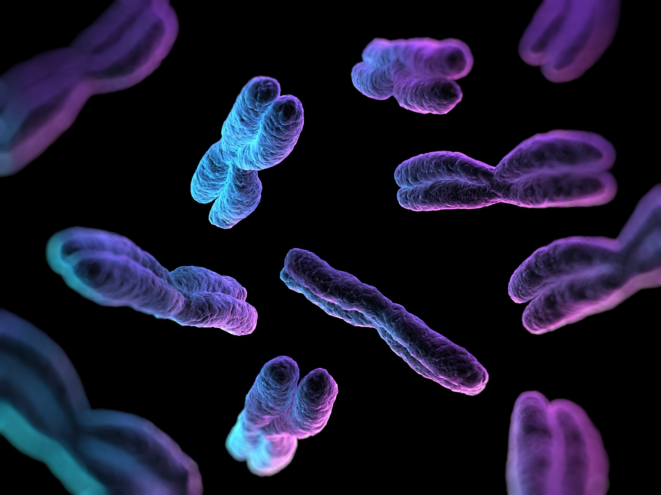 Des chercheurs pionniers dans la technologie pour « créer » des chromosomes artificiels plus rapides et moins chers