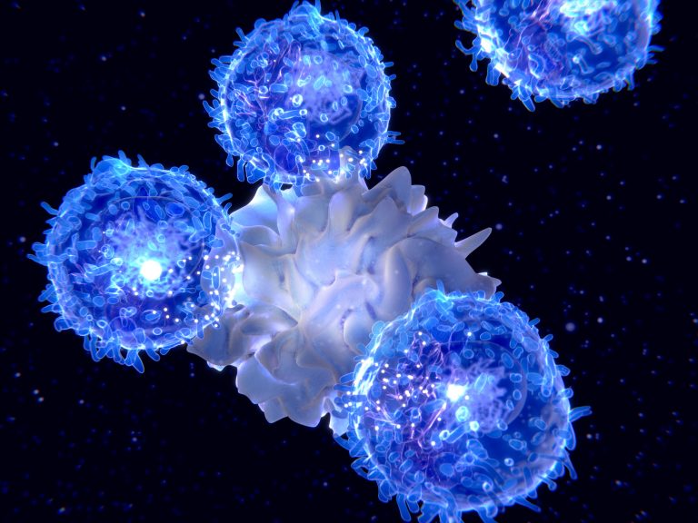 Genetic Network that Differentiates Regulatory T Cells Mapped