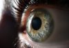 Eyes Provide Window into Many Diseases