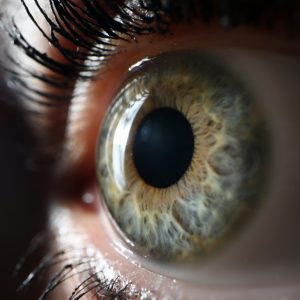 AbbVie Partners with Regenxbio to Develop anti-VEGF Eye Gene Therapy