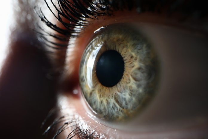 Close up of a woman's eye showing blue/green iris