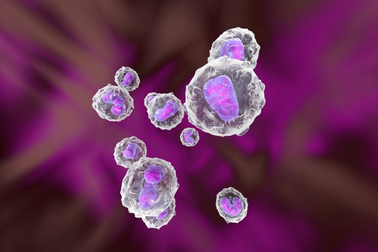 Monocyte immune system defense cells, 3D Rendering
