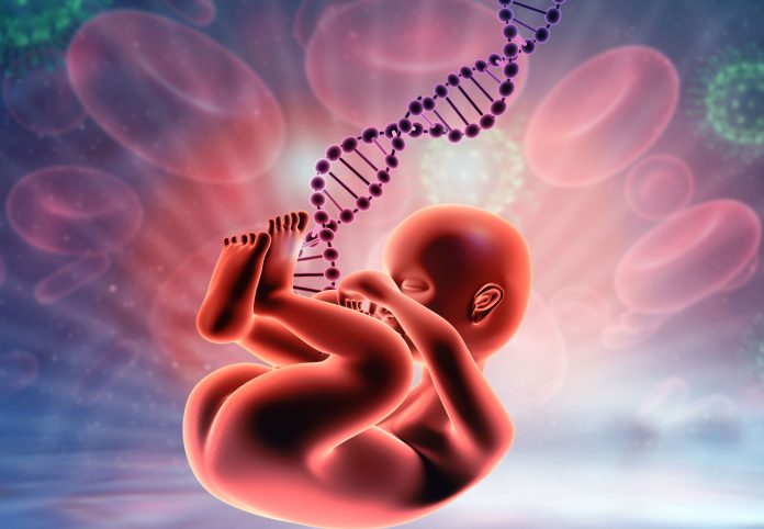 Fetus with DNA ambilocal chord