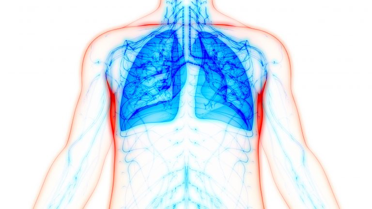 Lung Cell Therapy Shows Promise for Treating COPD