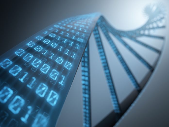 DNA Binary