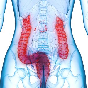 Cell Sequencing of Fetal Gut Tissue Reveals Crohn’s Disease Development Pathways