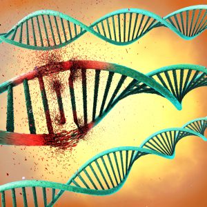 Neuronal DNA Damage ‘Hot Spots’ Provide New Angle on Neurodegeneration and Its Treatment