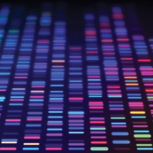 Human Genome Project at 20
