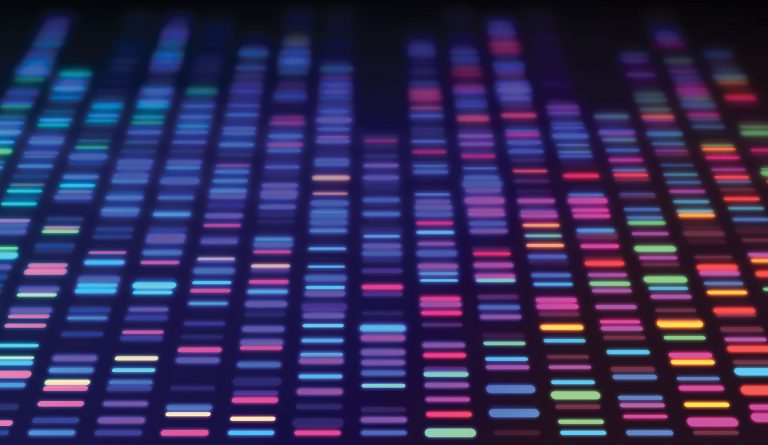 The Human Genome: Finished with High Fidelity