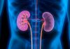 Mutation Linked to Diabetic Kidney Failure Points to Treatment Options