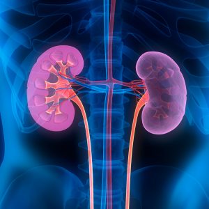 Blood Biomarker Predicts Early Kidney Transplant Rejection