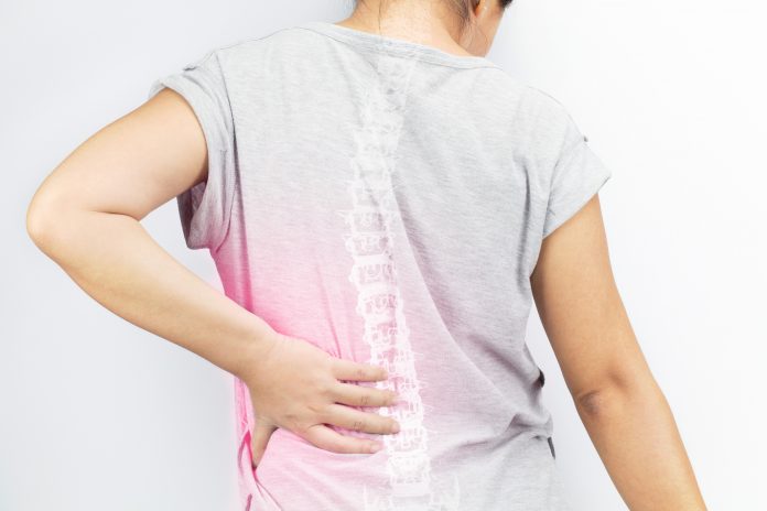 back pain illustration showing spine