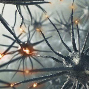 Mount Sinai Launches Neural Epigenomics Research Center