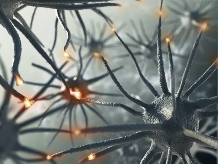 3D rendering representing interaction between brain neurons