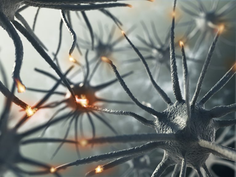 3D rendering representing interaction between brain neurons
