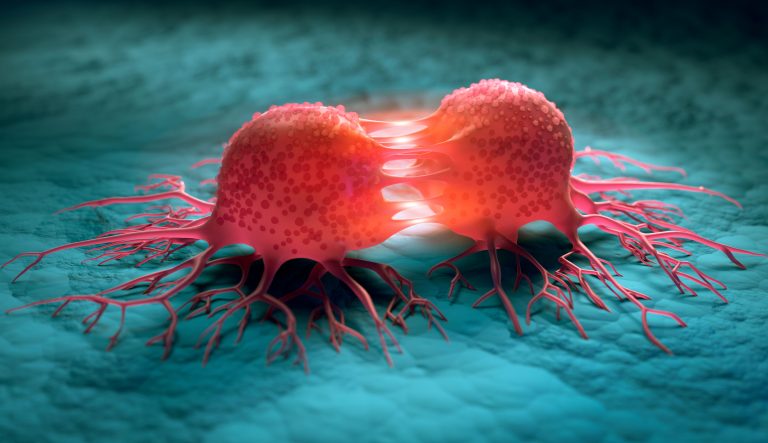 FDA Grants Seribantumab Fast Track Designation for Tumors with NRG1 Gene Fusions