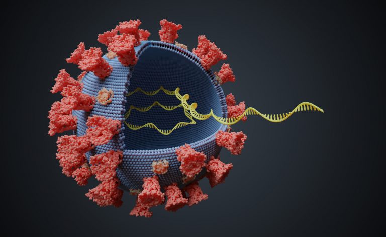 Virus with RNA molecule inside. Viral variant concept. 3D rendered illustration.