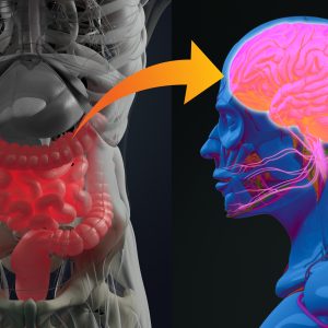 Genetic Link Between Alzheimer’s and Gut Disorders Confirmed