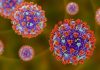 Shared Mechanisms in SARS-CoV-2 Variants’ Immune Evasion Revealed