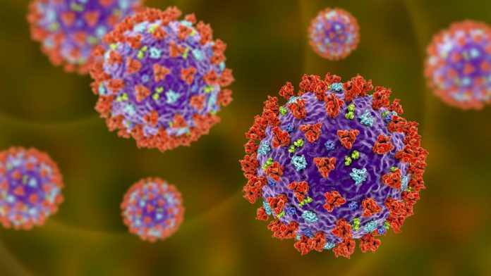 Coronavirus particles, illustration - SARS-CoV-2 virus