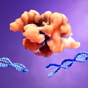 AI-Designed Protein Used to “Wake Up” Silenced Genes