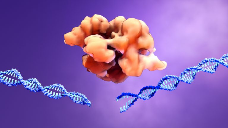 An illustration of a CRISPR-Cas9 gene editing protein cutting a DNA helix
