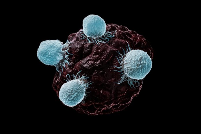 White blood cells, T lymphocytes or natural killers T attack a cancerous or infected cell 3D rendering illustration isolated on black background. Science, medicine, biomedical research, immune system, oncology, biology concepts.