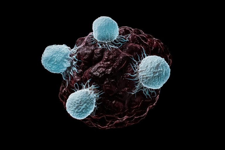 “Bad” Fat Hinders Killer T Cells’ Ability to Fight Cancer