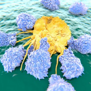 Combining Targeted, Immune Therapies Kills Treatment-Resistant Cancer Cells