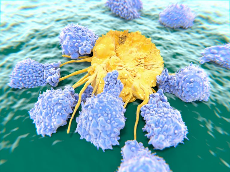Lymphocytes attacking a cancer cell, illustration