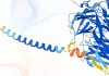 DeepMind’s Next-Gen Protein Structure Predictor AlphaFold 3 Released 