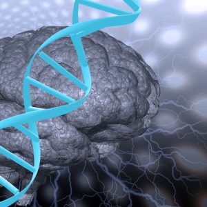 Allen Institute Leads Global Effort to Map Human Brain