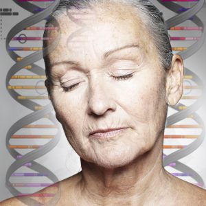 Age-Related Disease Likely Not Caused by Higher Mutation Rates Alone
