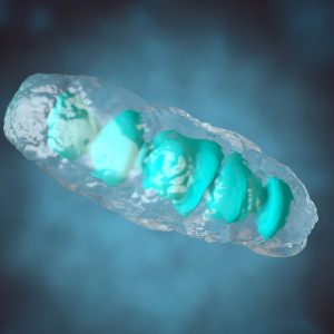 Mitochondrial RNA Changes Can Promote Invasive Cancer