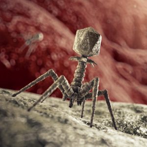 Bacteriophage Therapy May Be a Novel Approach for <i>Mycobacterium</i> Infections