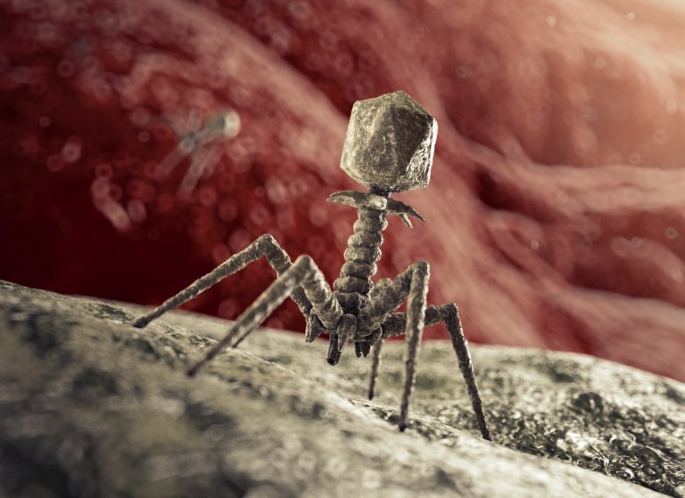 Combination of Bacteriophage and Antibiotic Could Be Effective Against Drug-Resistant Infection
