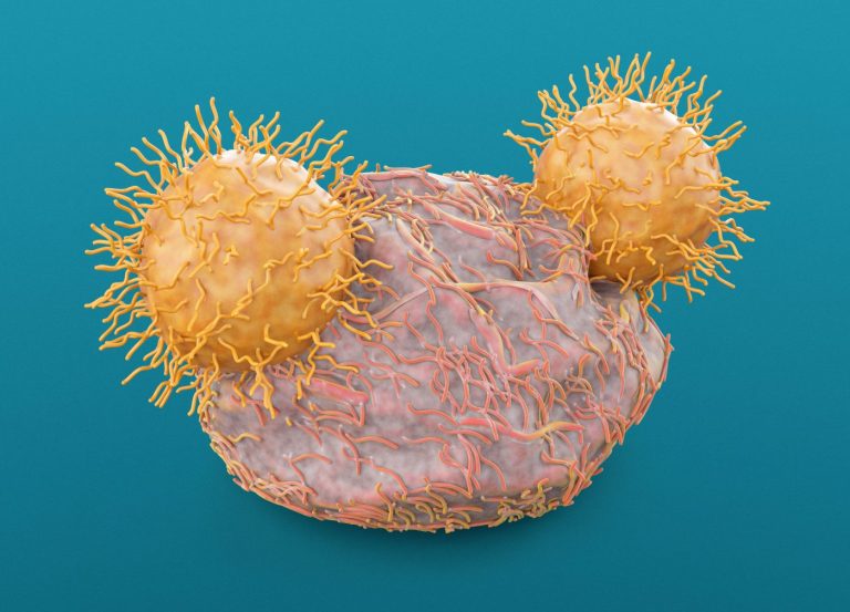 Scientists Improve Anti-Tumor Power of CAR-T Cells