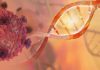 BRCA Mutations More Strongly Tied to Prostate and Pancreatic Cancer