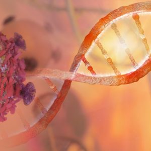 Salk Study Determines Most Common Genetic Mutations in Cancer