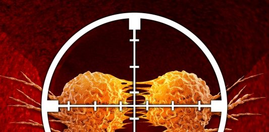 Targeted cancer therapy