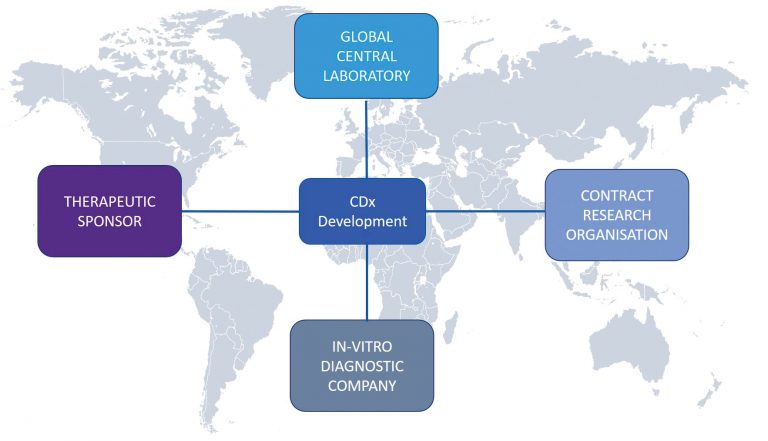 The Role of the Global Central Laboratory in Successful Companion Diagnostic Development