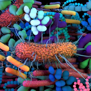 Microbes as Medicine