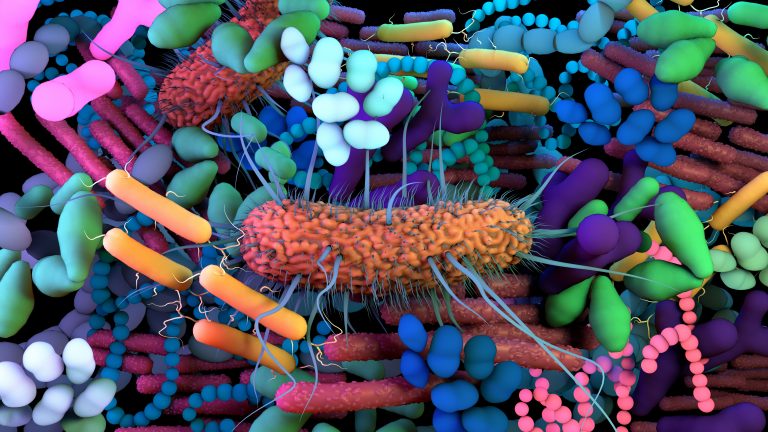 Human gut microbiome picture showing a variety of microbes including fungi such as Candida albicans