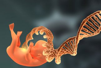 DNA Fetus