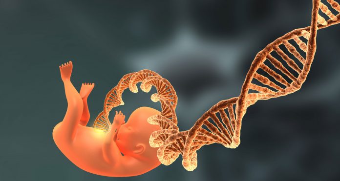 DNA Fetus
