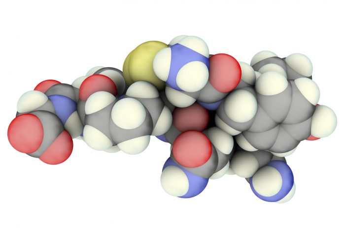 Molecule of oxytocin, a hormone released from the neurohypophysis
